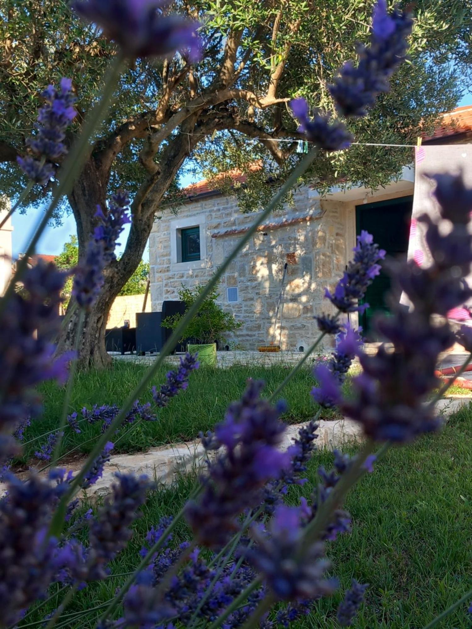 Vila Leggiero Benkovac Exteriér fotografie